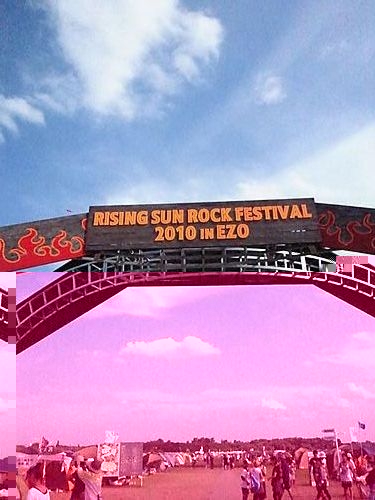 6a00c2251f620cf2190137a4e7348d860c-500pi